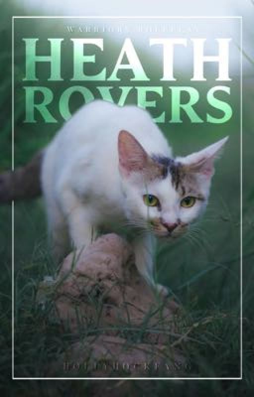 𝗛𝗘𝗔𝗧𝗛 𝗥𝗢𝗩𝗘𝗥𝗦      ━━      warrior cats roleplay   by hollyhockfang